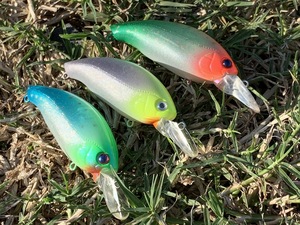 201910518385.JPG